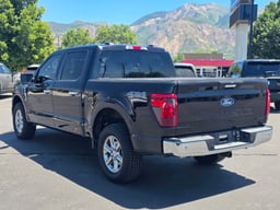 2024 Ford F-150 thumbnail 5