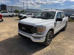 2023 FORD F-150 SuperCrew thumbnail 1