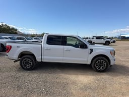 2023 FORD F-150 SuperCrew thumbnail 6