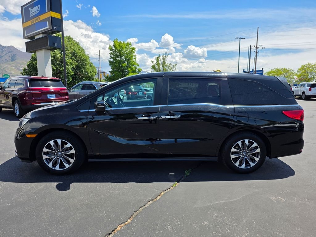 2024 Honda Odyssey - Image 6